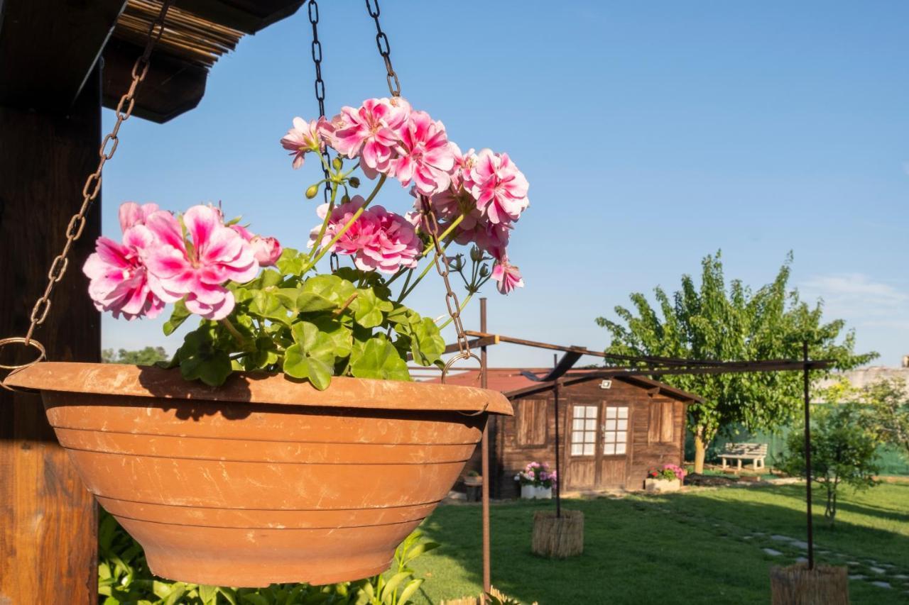 A Lu Fanizza Bed and Breakfast Cutrofiano Exteriör bild